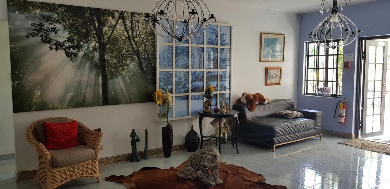 Little Savoy Guest House New ランアウェイ・ベイ エクステリア 写真